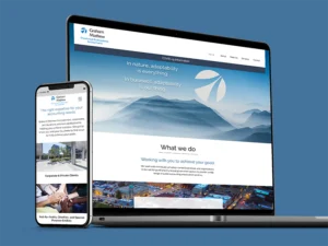 graham mathew chartered professional accountants website