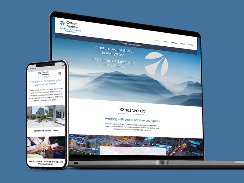 graham mathew chartered professional accountants website