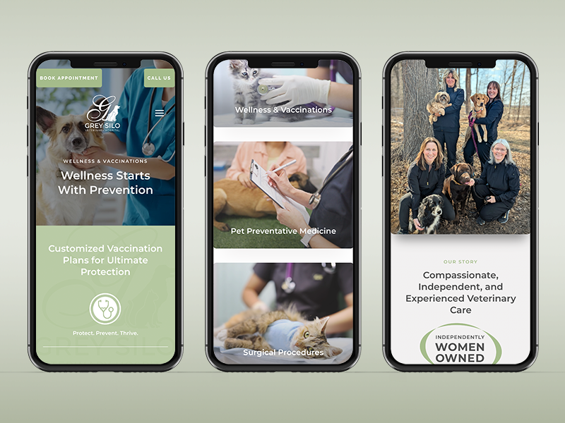 grey silo veterinary clinic responsive website